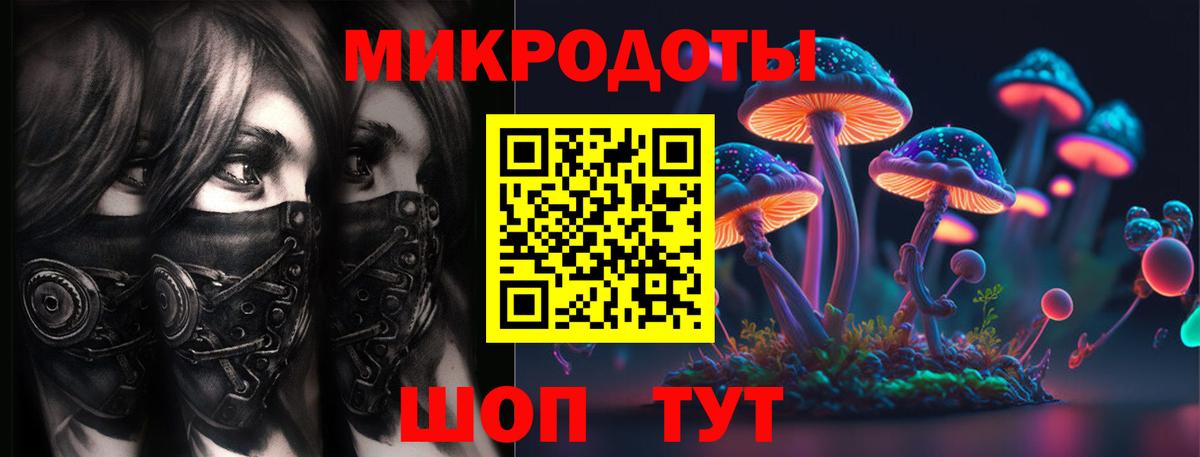 Псилоцибиновые грибы прущие грибы Казань
