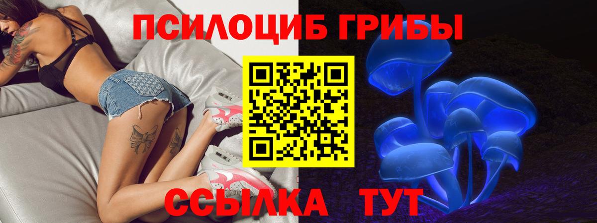 Псилоцибиновые грибы GOLDEN TEACHER  где можно купить   Казань  Вход с VPN 